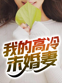 我的高冷未婚妻(许木夏雨晴)小说全章节目录阅读