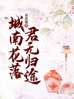 城南花落，君无归途小说(连载文)-宋漓叶岐扬无广告阅读