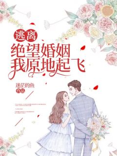 逃离绝望婚姻，我原地起飞主角是小哲张林小说百度云全文完整版阅读
