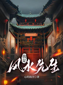 《我是风水先生》小说李小安李妍免费阅读