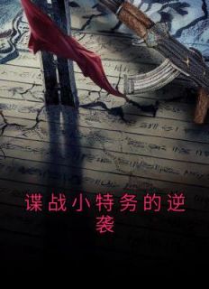 《谍战小特务的逆袭》章节全目录 刘长川王奎全文免费阅读