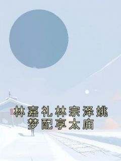 林嘉礼林宗泽姚梦配享太庙by圆小圆呀