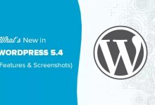 WordPress 5.4 正式版下载-更新啦